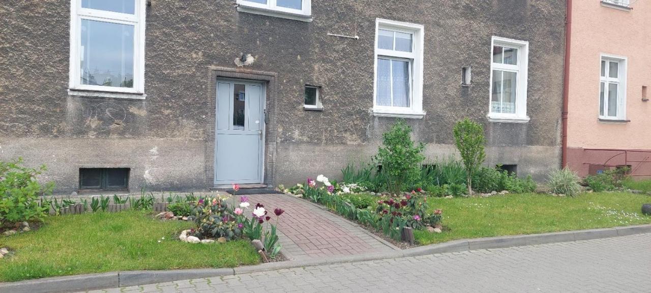 Apartament W Centrum Nysa Buitenkant foto